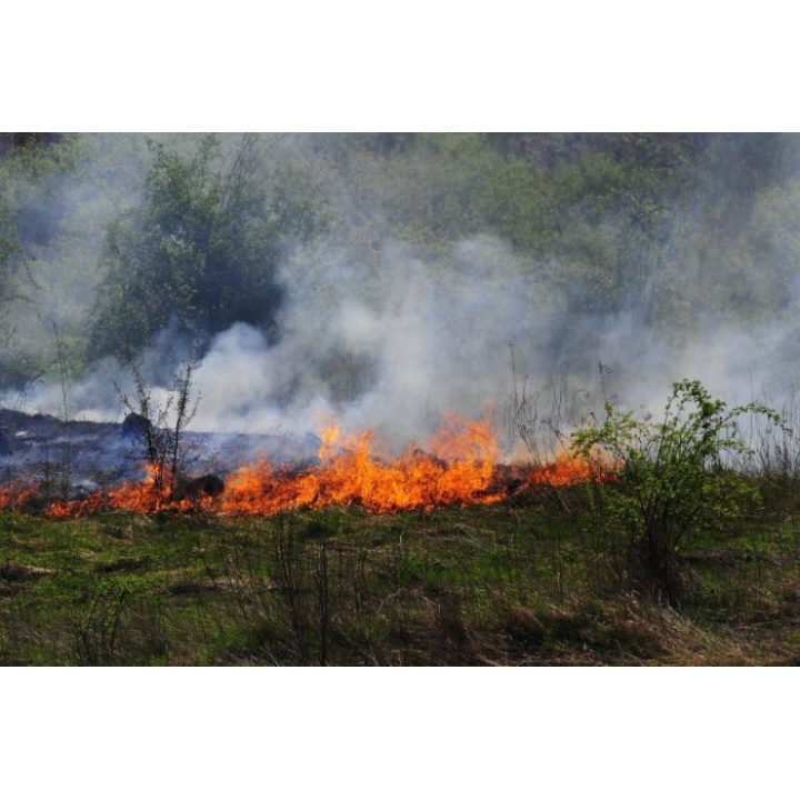 HaZZ - Zákaz vypaľovania tráv